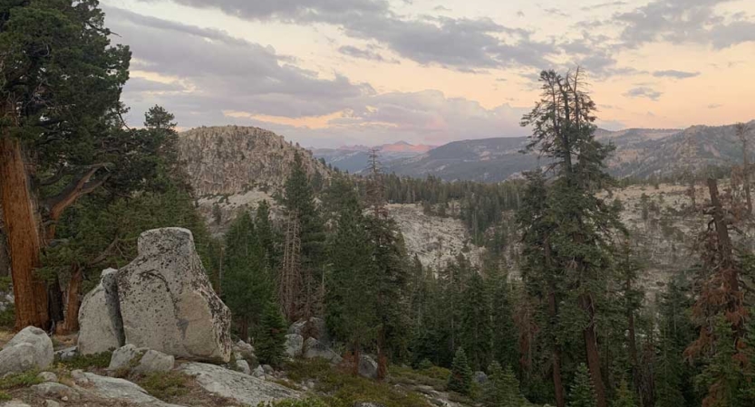 A mountainous landscape in Yosemite is dotted with rocks and evergreen trees.